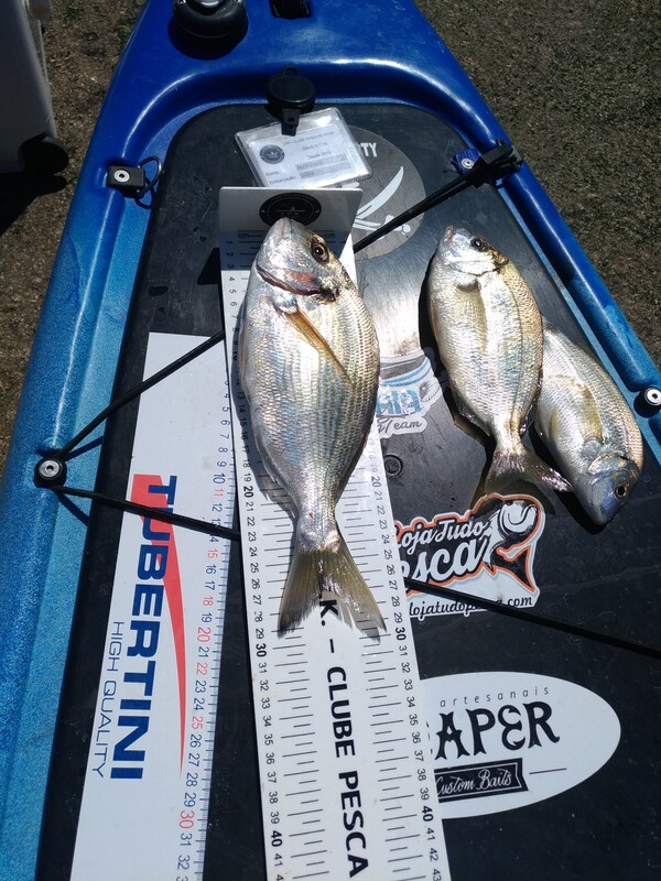 Fish Measure Picture